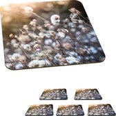 Onderzetters voor glazen - Bloemen - Zon - Sepia - 10x10 cm - Glasonderzetters - 6 stuks