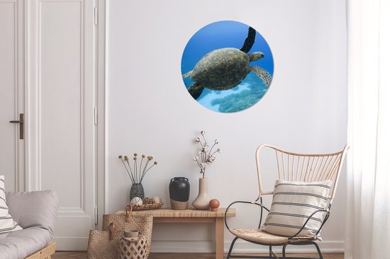 WallCircle - Peinture - Tortue Verte Nageuse Photo Tirage Et - Multicolore - 60 X 60 Cm