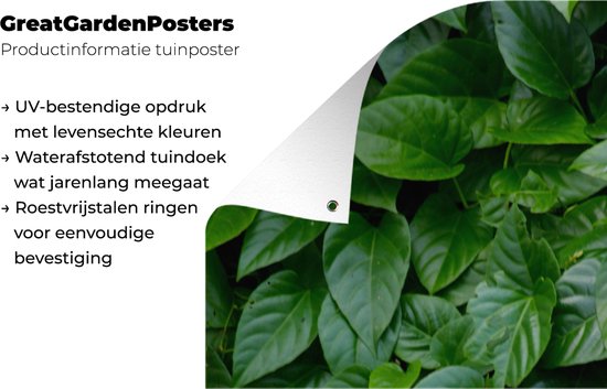 Affiche de jardin Feuilles vertes - 40x80 cm