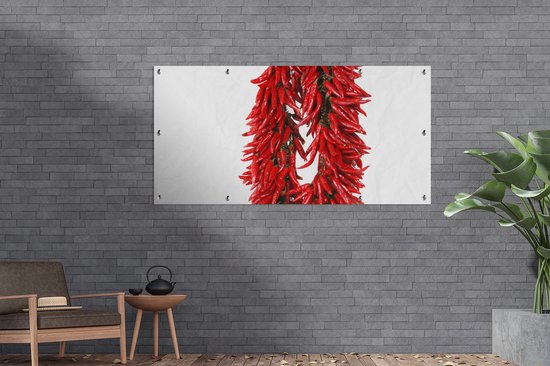 Décoration murale d'extérieur Une guirlande de piments de Cayenne ou Capsicum frutescens - 160x80 cm - Toile jardin - Poster extérieur