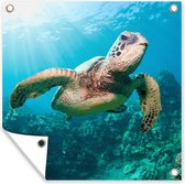 Tuinposters Zwemmende schildpad fotoafdruk - 50x50 cm - Tuindoek - Buitenposter