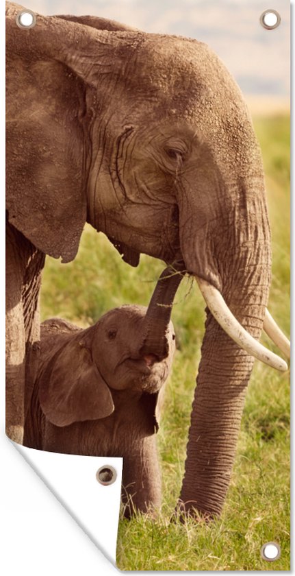 Tuinposter Baby olifant bij zijn moeder in Kenia - 40x80 cm - Wanddecoratie Buiten - Tuinposter - Tuindoek - Schuttingposter - Tuinschilderij