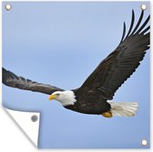 Tuinposters Een vliegende Amerikaanse zeearend - 50x50 cm - Tuindoek - Buitenposter