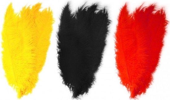 Ideaal domineren kom tot rust 6x stuks grote veer/veren/struisvogelveren - 2x zwart - 2x geel - 2x rood -  Decoratie... | bol.com