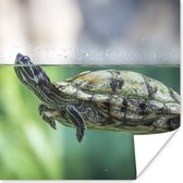 Poster Close-up foto van schildpad - 100x100 cm XXL