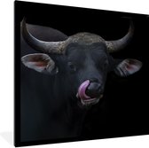 Fotolijst incl. Poster - Likkende stier voor een zwarte achtergrond - 40x40 cm - Posterlijst