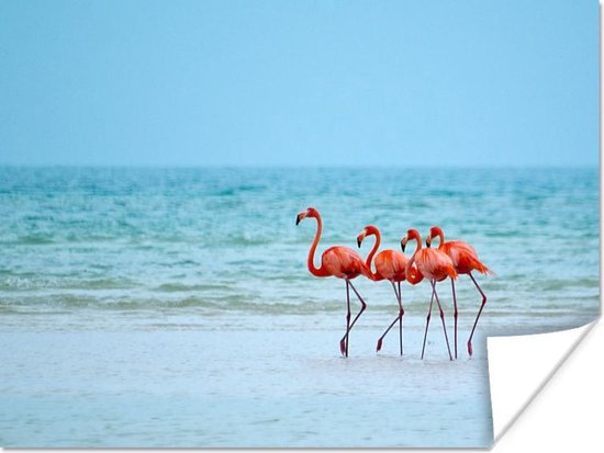 Poster Vier flamingo's staan op het strand - 160x120 cm XXL
