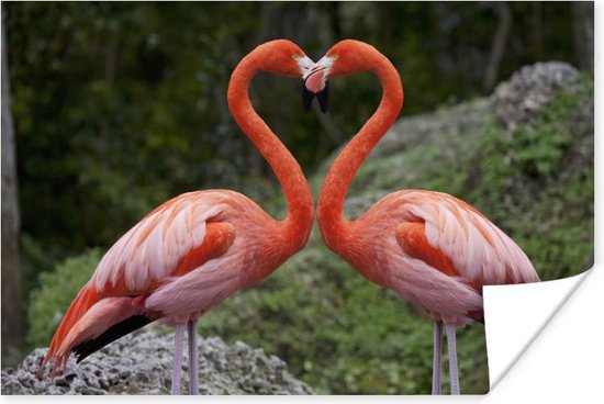 Verliefde flamingos vormen hart Poster - Foto print op Poster (wanddecoratie)