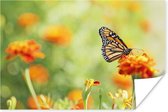 Monarchvlinder op bloem Poster 90x60 cm - Foto print op Poster (wanddecoratie)