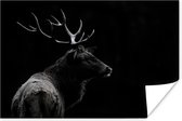 Hert zwart-wit  Poster 120x80 cm - Foto print op Poster (wanddecoratie)