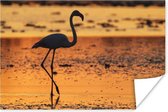 Poster Het silhouet van een flamingo bij zonsondergang - 30x20 cm