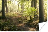 Affiche Chemin dans la forêt 120x80 cm - Tirage photo sur Poster (décoration murale salon / chambre)