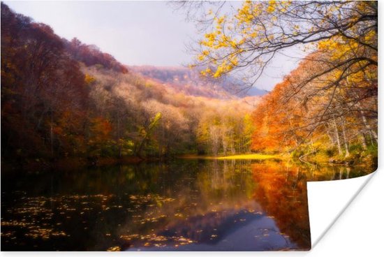 De typische herfstachtige natuur Poster 60x40 cm - Foto print op Poster (wanddecoratie)
