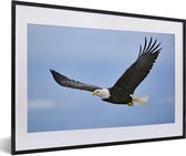 Affiche avec cadre Aigle - Ressorts - Animaux - 60x40 cm