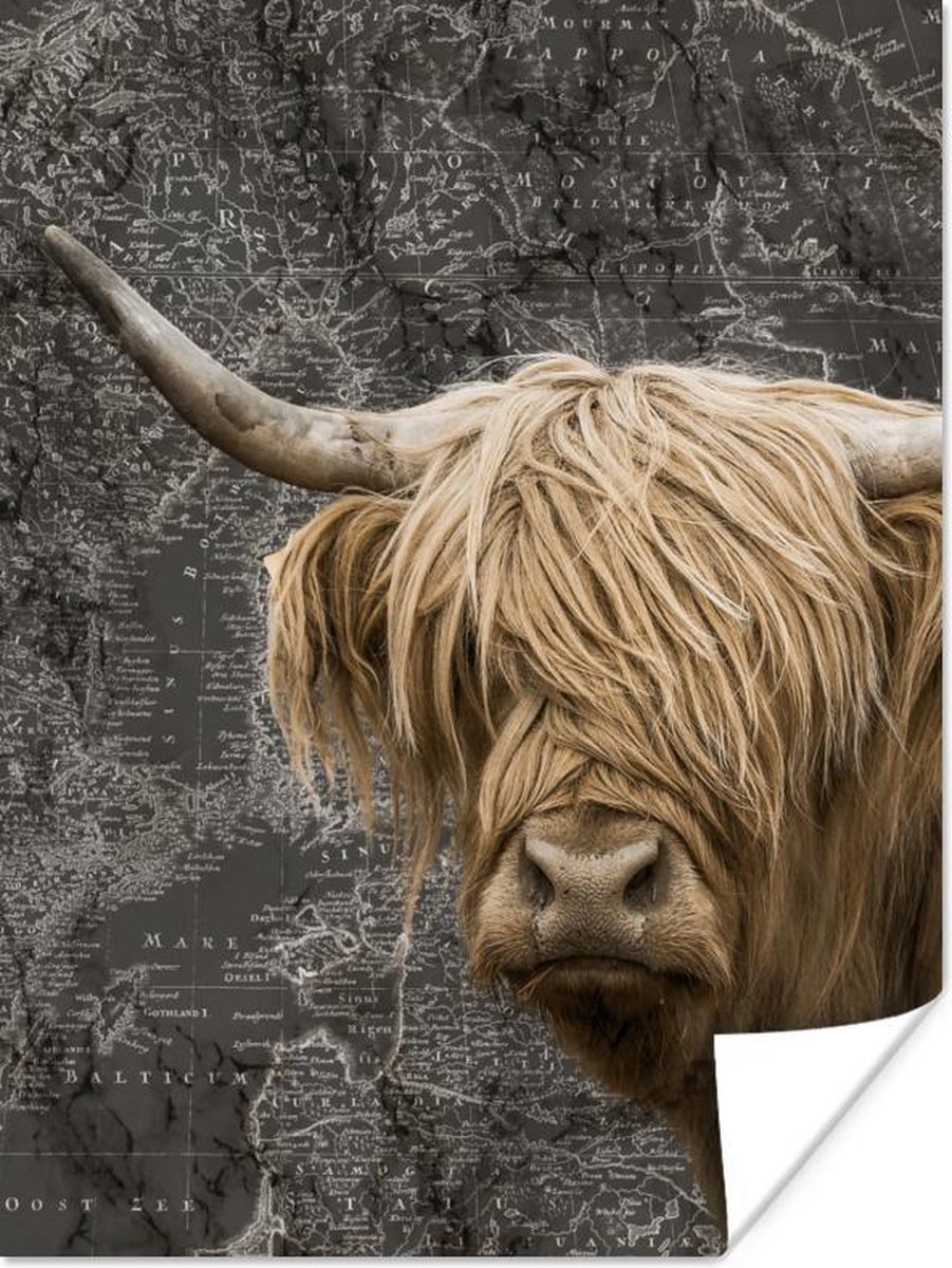 Poster - Schotse hooglander - Wereldkaart - Dieren - 30x40 cm