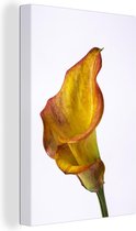 Fleur de Calla orange jaune sur fond blanc Toile 60x90 cm - Tirage photo sur toile (Décoration murale salon / chambre)