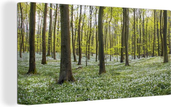 Canvas schilderij 160x80 cm - Wanddecoratie Bomen - Bloemen - Lente - Muurdecoratie woonkamer - Slaapkamer decoratie - Kamer accessoires - Schilderijen