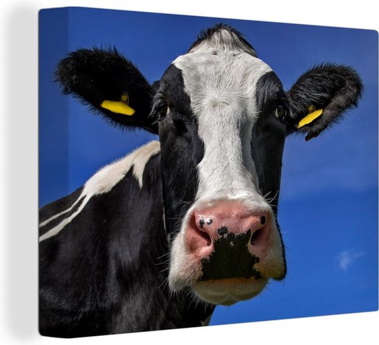 Toile Peinture Vache - Blauw - Animaux - 120x90 cm - Décoration murale