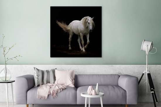 Cheval Wit devant une toile fond noir 2cm 90x90 cm - impression photo sur toile peinture Décoration murale salon / chambre à coucher) / Animaux sauvages Peintures Toile