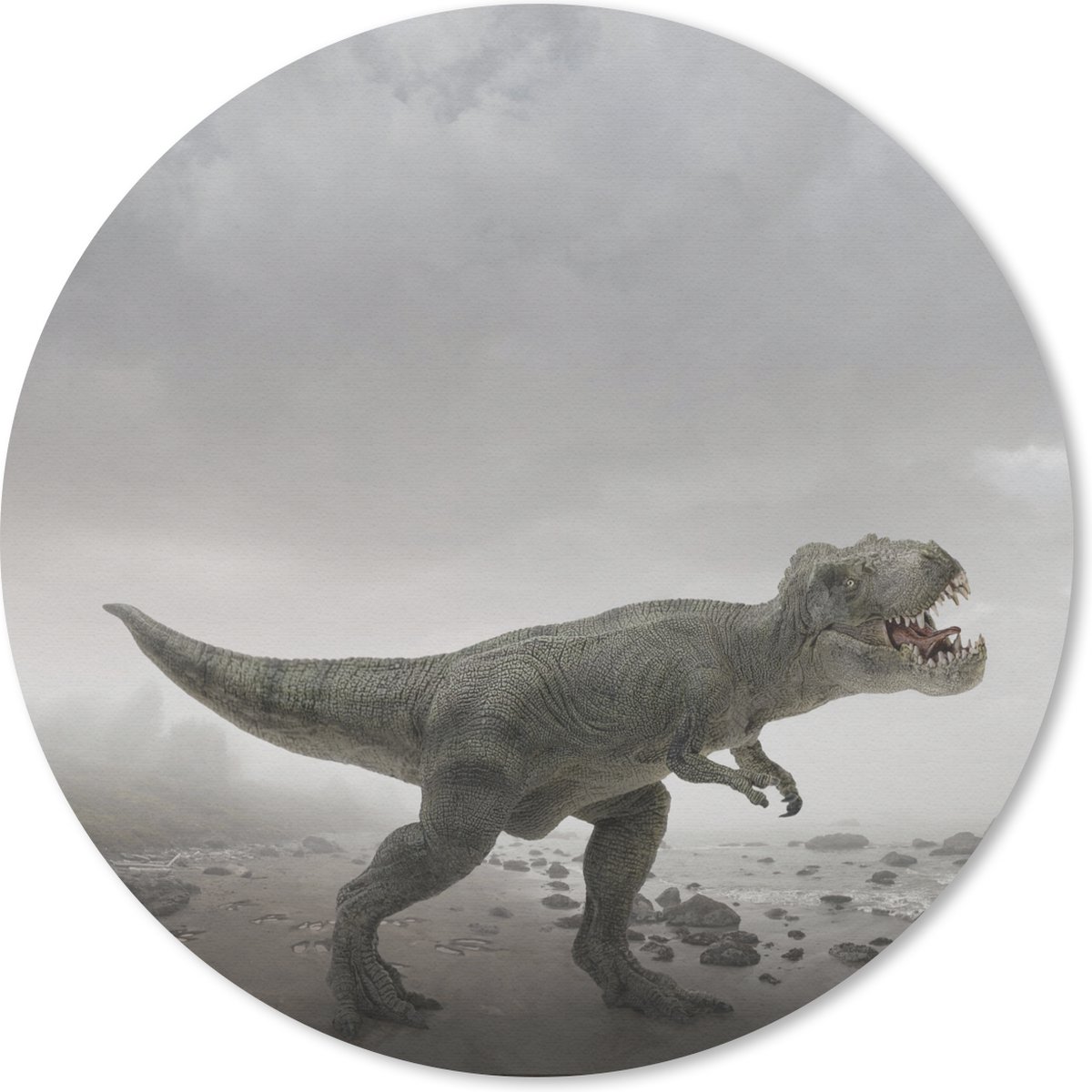 Muismat rond 20x20 cm - Mousepad Dinosaurus - Zand - Wolken - Ronde muismatten