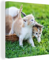 Schilderij kat - Kittens - Rieten mand - Tuin - Katten schilderij - Canvas kat - Wanddecoratie - 20x20 cm