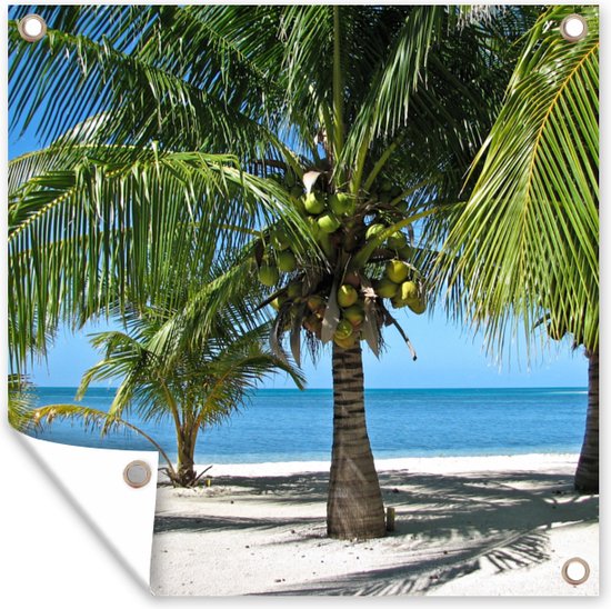 Tuindoek Palmbomen en het parelwitte strand in Glover’s Reef - 100x100 cm