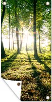Tuinposter Doorbrekende zon in de bossen van het Nationaal park Söderåsen in Zweden - 30x60 cm - Tuindoek - Buitenposter