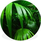 WallCircle - Cercle mural - Cercle mural intérieur - Feuilles de palmier dans la jungle - 120x120 cm - Décoration murale - Peintures ronds XXL