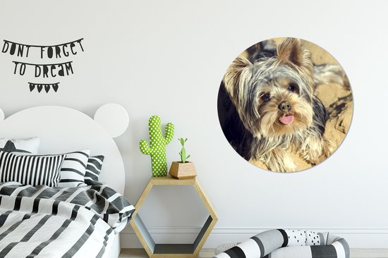 Wall Circle - Wall Circle Indoor - Yorkshire Terrier sur la Plage - 90x90 cm - Décoration murale - Peintures Ronds