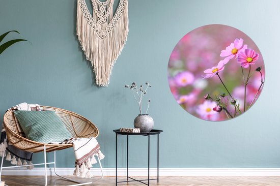 Fleurs - Extérieur - Rose