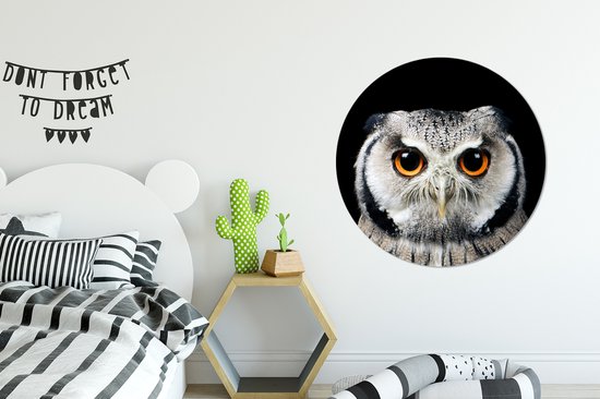 WallCircle - Wall Circle - Wall Circle - Close-up Hibou - Aluminium - Dibond - 90x90 cm - Intérieur et Extérieur