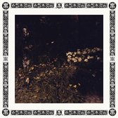 Sarah Davachi - Pale Bloom (LP)