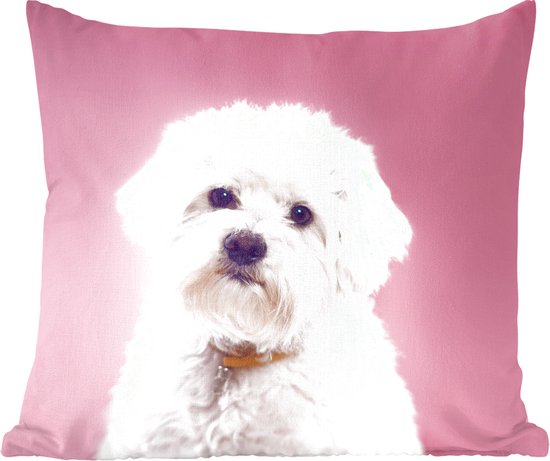 Sierkussen - Maltezer Hond Met Een Achtergrond - Multicolor - 45 Cm X 45 Cm
