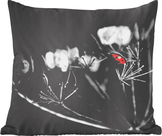 Sierkussens - Kussentjes Woonkamer - 60x60 cm - Zwart-wit foto van een rode lieveheersbeestje op een plant