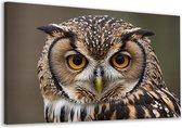 Uil schilderijen - Dieren wanddecoratie - Canvas schilderijen Veren - Modern schilderij - Canvas schilderijen woonkamer - Muurdecoratie canvas 90x60 cm
