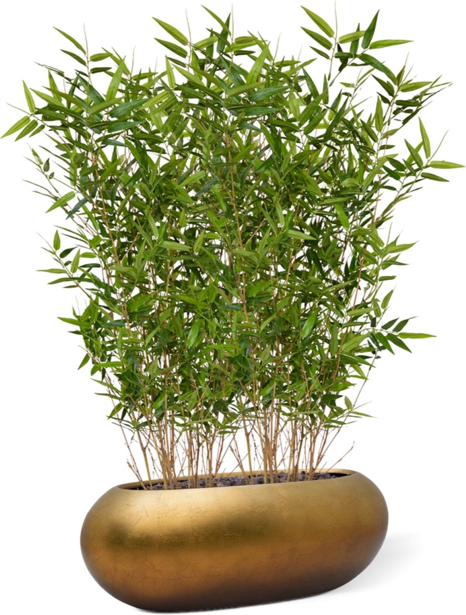 maxifleur Kunstplanten Oriental Bamboe kunstplant 100cm Groen