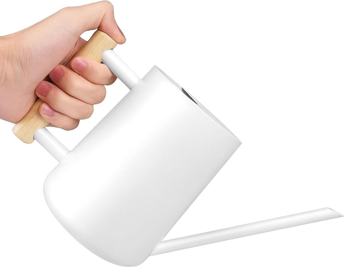 1 liter roestvrijstalen gieter met lange uitloop - comfortabele handgreep - voor kamerplanten en vetplanten - tuinsprinkler - vintage bloemengieter - balkon kantoor woonkamer