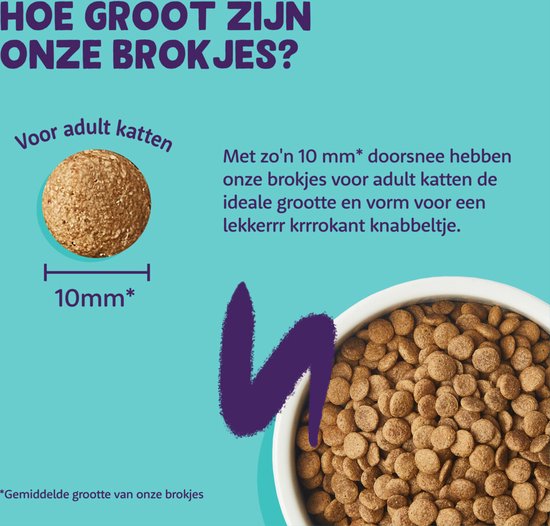 Afbeelding van kattenbrokjes met afmeting 10mm, tekst "HOE GROOT ZIJN ONZE BROKJES?" en informatie voor kattenvoer.