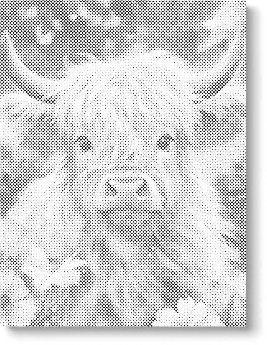 Oh My Dotz Schotse hooglander kalf Dot painting 30x40cm Op frame gespannen Diamond painting & Schilderen op nummer alternatief Stippelschilderij