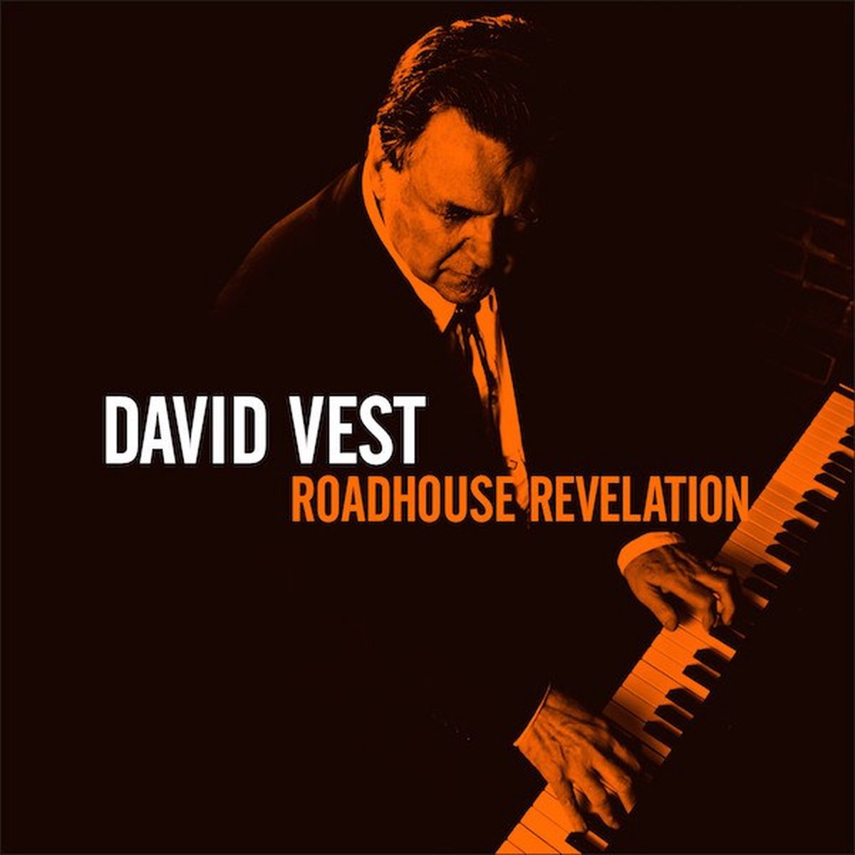David Vest - Roadhouse Revelation (CD)