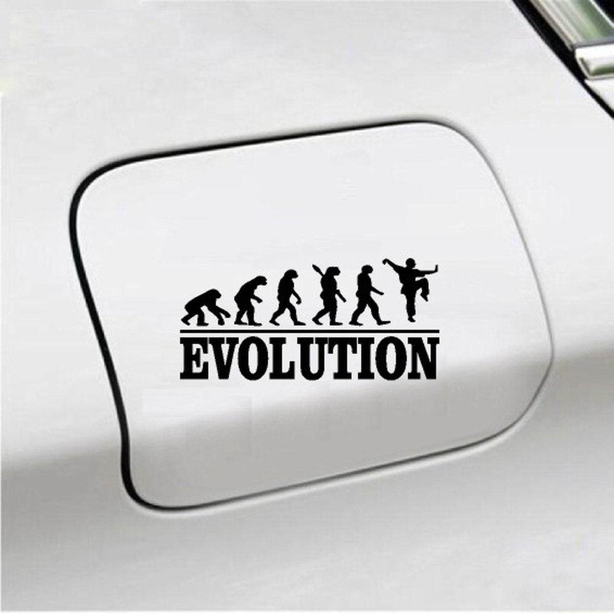 Bumpersticker - Evolution Kung-Fu - 20x9.3 - Zwart