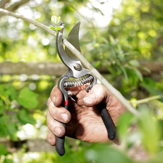 Traditionele bypass- en aambeeld tuinschaarset snijset met 8 gereedschappen van GARDENA — afbeelding 3