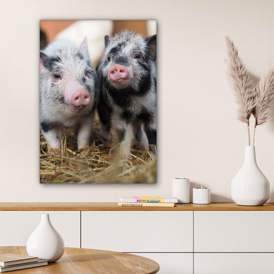 Canvas schilderij 60x80 cm - Wanddecoratie Varken - Dieren - Varkentje - Muurdecoratie woonkamer - Slaapkamer decoratie - Kamer accessoires - Schilderijen
