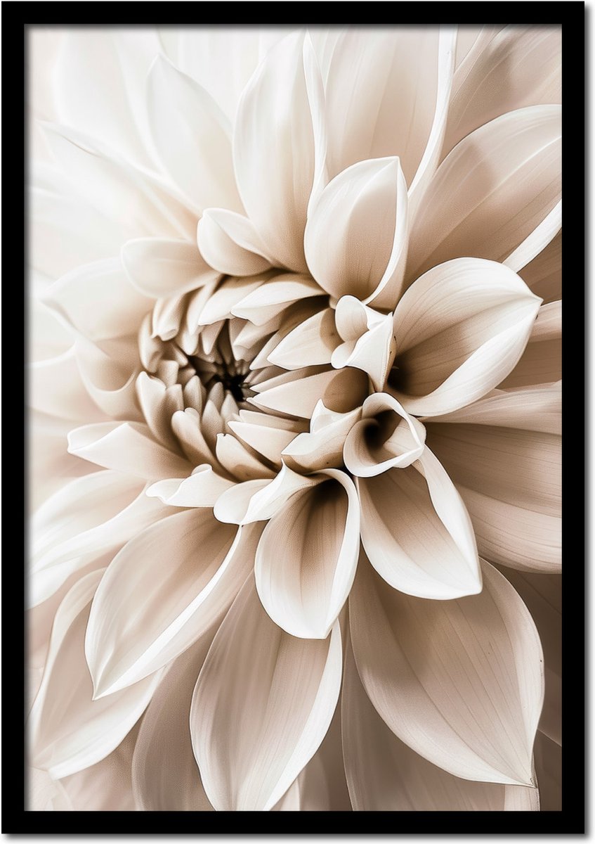 Plakkers Poster witte dahlia bloem - 70cm x 100cm - vintage - woonkamer - slaapkamer - bloemen posters - goedkoop - muurposter - natuur - wanddecoratie Full-colour