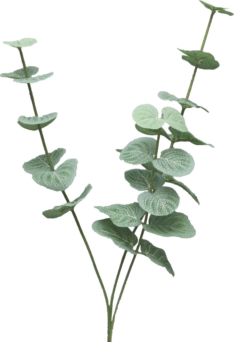 Bellatio Design Kunstplant takken Eucalyptus Cinera - 38 cm - 3 takken - kunst bladgroen - decoratief - zijdebloemen