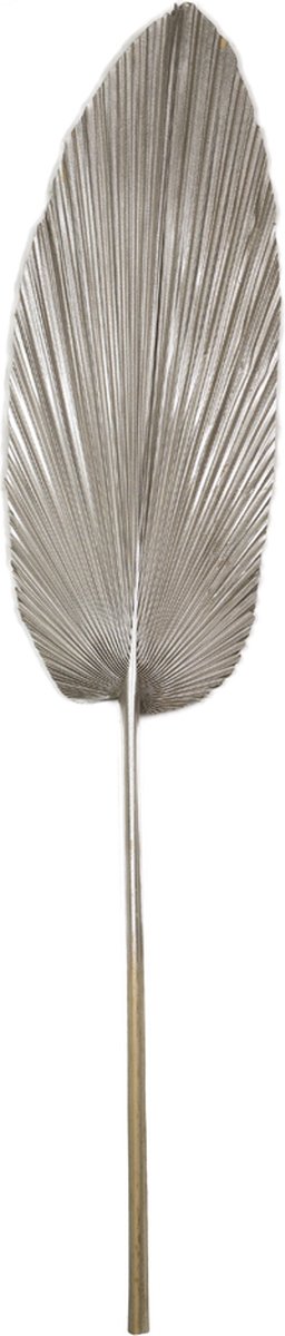 palmblad gedroogd champagne 100cm*