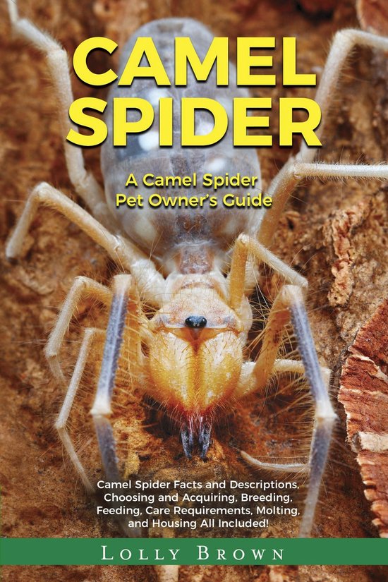 Camel Spider - cover