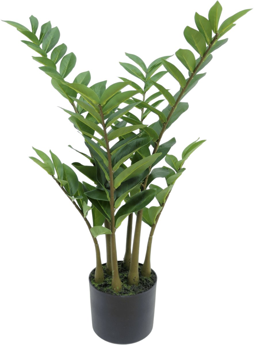 PrettyPlants Zamioculcas Kunstplant 75cm | Kleine Kunstplant | Kunstplant voor binnen | Nepplant Zamioculcas Groen