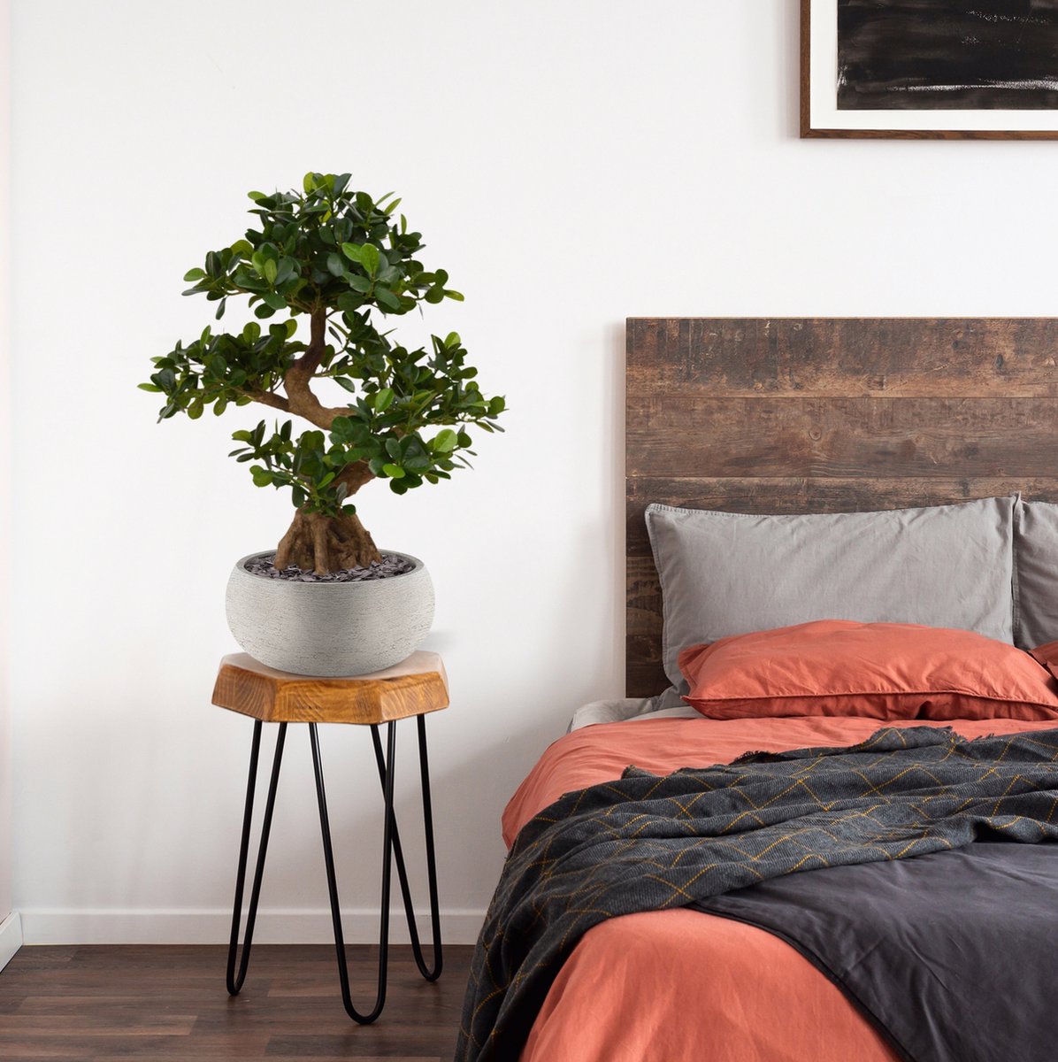 maxifleur Kunstplanten Panda Bonsai kunstboom op voet 70cm Groen