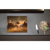 Inductieplaat Beschermer - Bruine beren in bruin gekleurd hoog gras - 60x50 cm - 2 mm Dik - Inductie Beschermer - Bescherming Inductiekookplaat - Kookplaat Beschermer van Zwart Vinyl